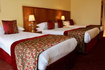 Фото номера Семейный номер (для 2 взрослых и 2 детей) Отель The Rose Hotel г. Трали 2